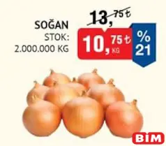 SOĞAN KG fiyat ve kampanya bilgisi